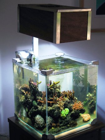 Superbe Nano aquarium de 27 litres